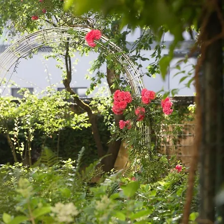 Aurbacher Hof Gmbh Hotel Munich