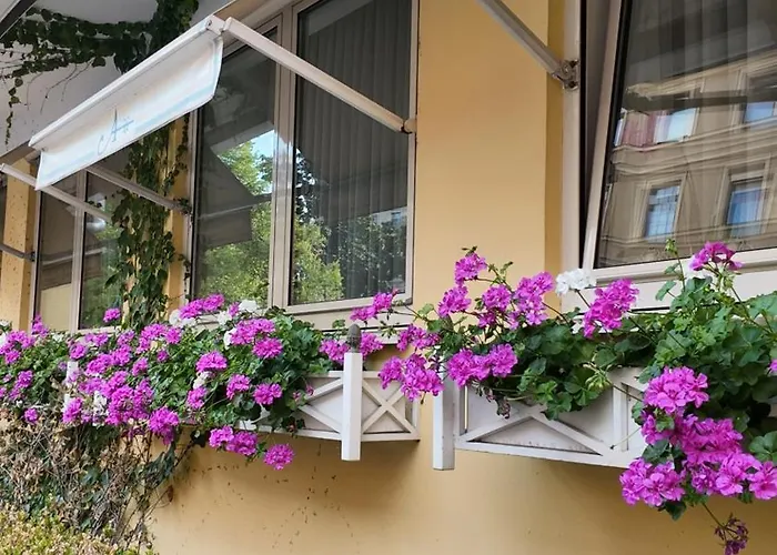 Aurbacher Hof Gmbh מלון 3*